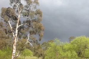 Megalong Valley Farm