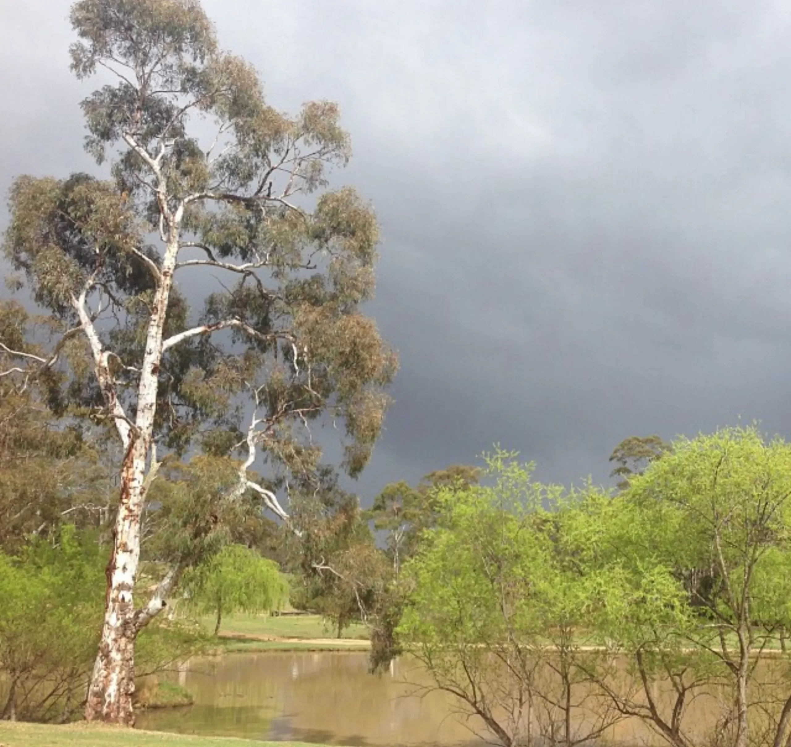 Megalong Valley Farm