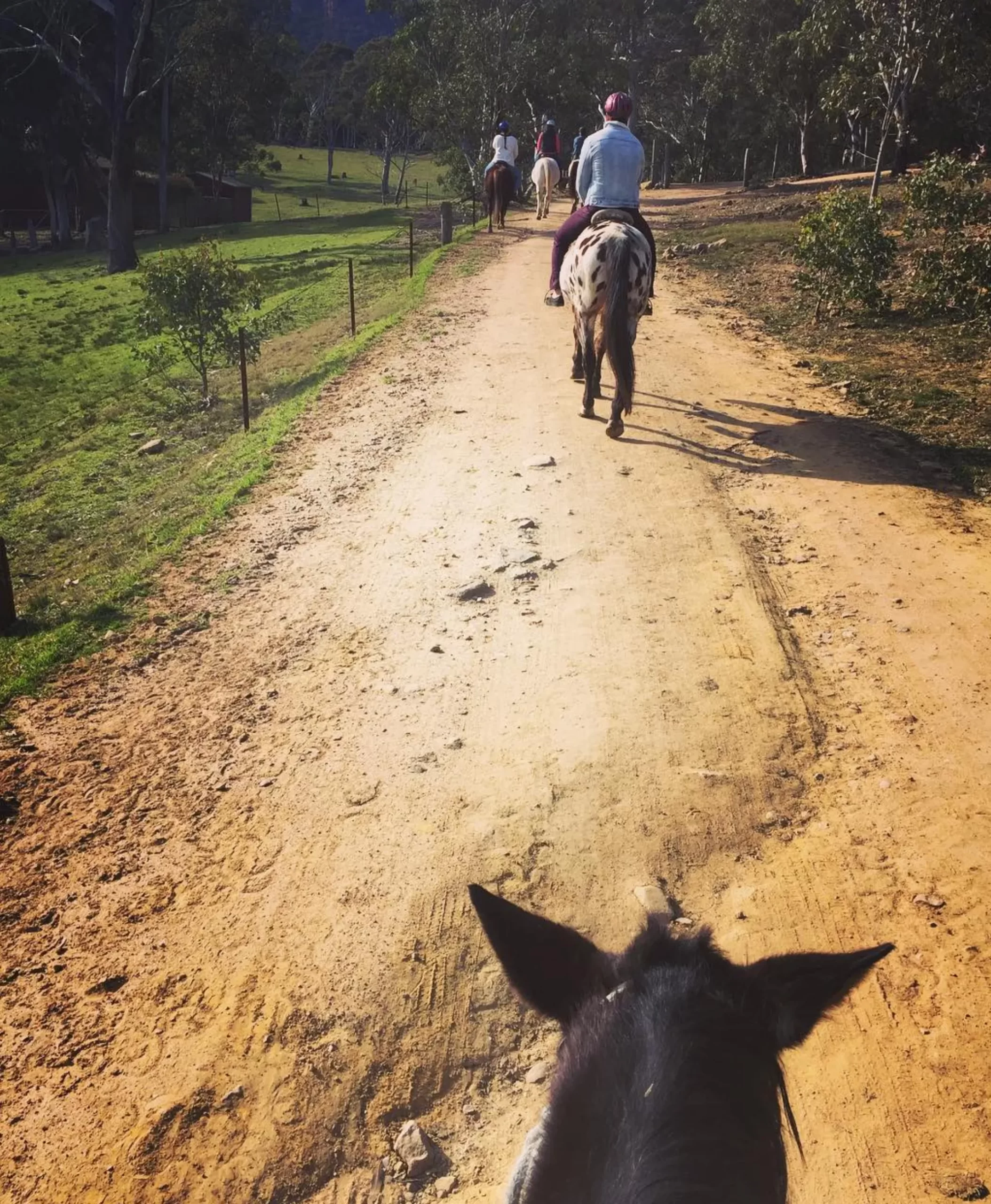 horse riding adventures, Blue Mountains