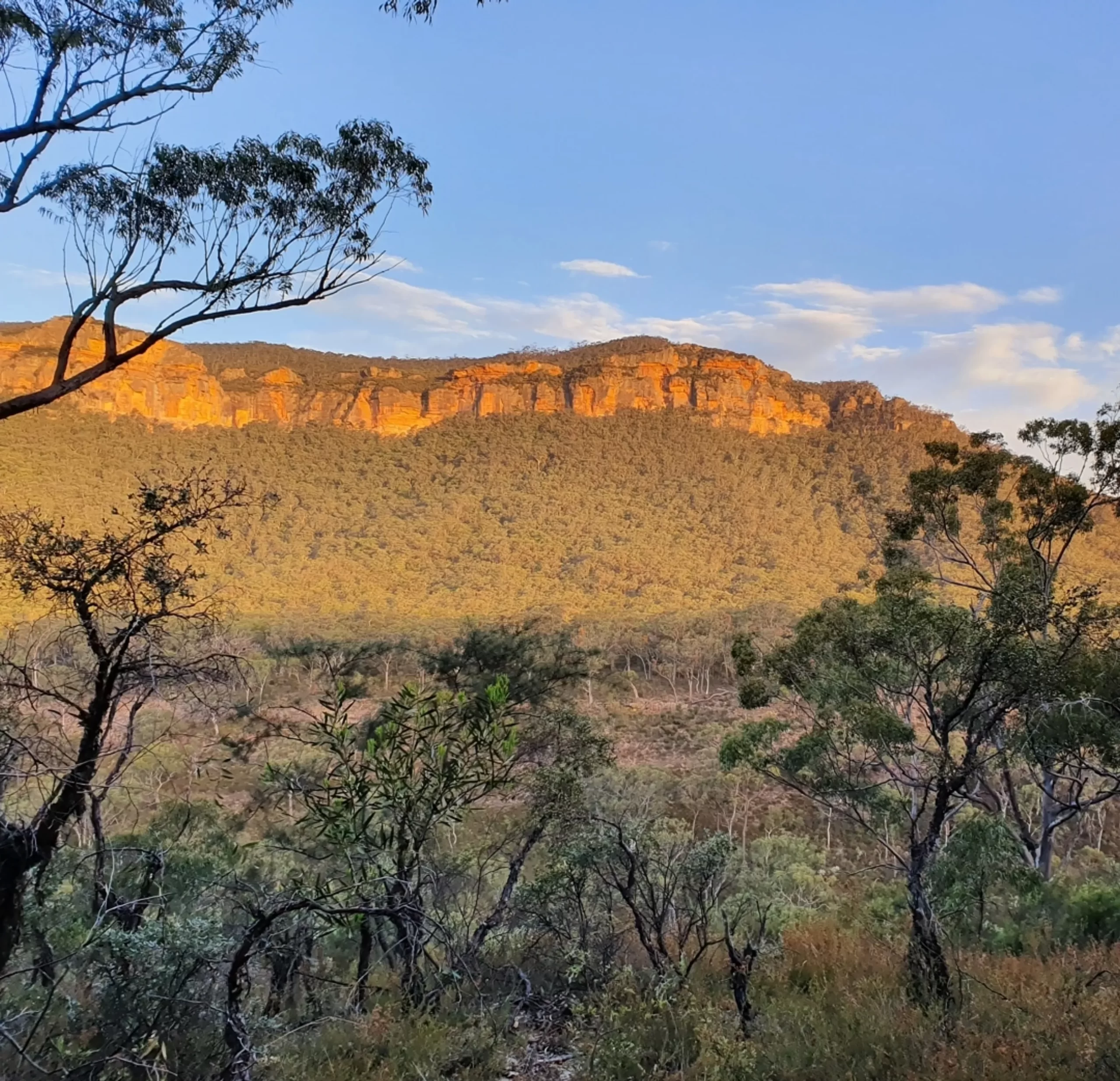 rock formations, Blue Mountains